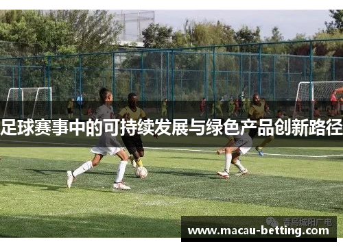 足球赛事中的可持续发展与绿色产品创新路径